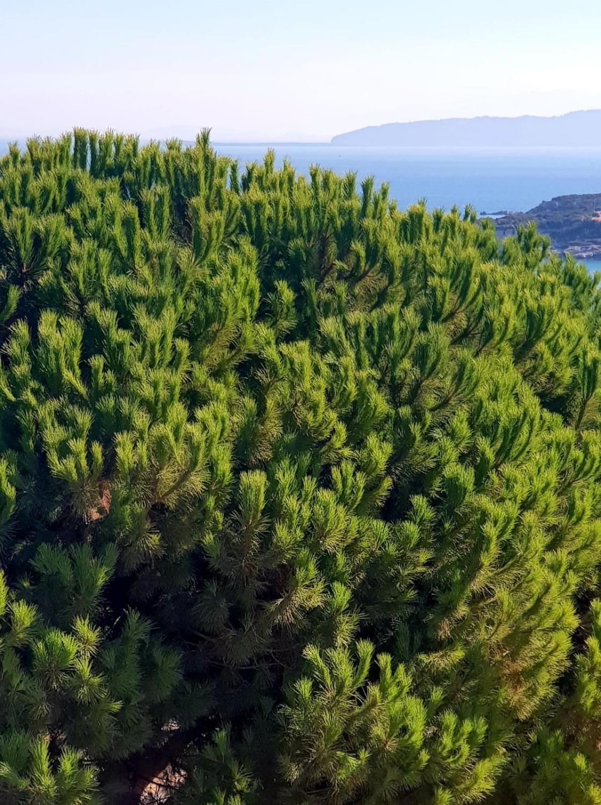 North Wind Hotels - Karaburun Karaburun  Εξωτερικό φωτογραφία